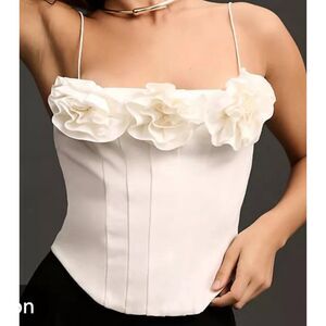 Anthropologie Sunday in Brooklyn Bustier Corse Top M